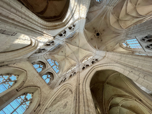 Traitement punaises de lit Auxerre